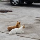 해파랑길(제23구간) 이미지