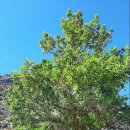 멜로디모텔 이미지