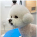 뷰티몽 - 순천시 왕지2길 19-5 | 뷰티몽
