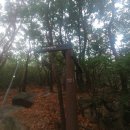 천보체육회 이미지