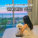 울산 간절곶 펜션 헤이메르 울주군 오션뷰 품은 애견동반 H0 후기