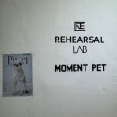 (주) 아이엔에스랩 | 강동 반려견 스튜디오 리허설랩 모먼트펫 스튜디오 후기