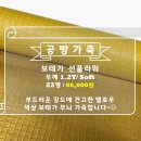 썬플라워공방 이미지