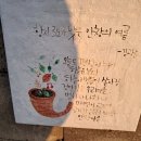 항시3도가낮은안창의여름 이미지