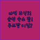 호텔야자순천조례점 | 순천 조례동 숙소 비교 라면 조식과 루프탑을 품은 호텔야자 순천점의 비밀