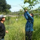 만선농장 이미지