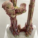 쌍봉축산 이미지