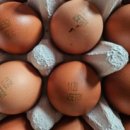 농업회사법인주식회사다알 이미지