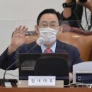 주호영 카카오 검색결과