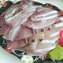 농수산물도매시장_동 | 수원 농수산물도매시장 회 맛있는 곳 | 정훈수산 내돈내산 후기