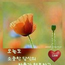 수요춤전 이미지