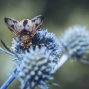 달몽펜션 이미지