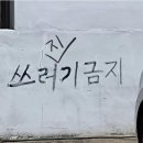 벨트레이닝 이미지