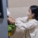 모던플랜츠 이미지