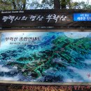 원곡초교길 이미지