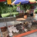 오산천 자전거대여소 이미지