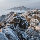 산애락 이미지