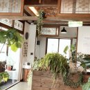 주 酒소 이미지