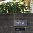 제주 와싱톤 | [제주도 애견동반여행] 항공사별 애견 규정 &amp; 애견동반펜션 &amp; 애견동반맛집(떡하니/cafe희상/칠돈가...