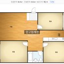 압구정-204 네이버블로그