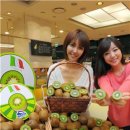 진원유통 이미지