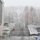 조선대학교 이미지