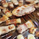 바로돼지 이미지