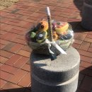 달푸르츠 이미지