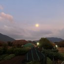 삼거리민박 | 낙안읍성 삼거리민박 할머니집 온듯 정겨운 숙소 추천