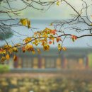 서종요양병원 이미지