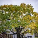 노평 농장 이미지