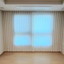 씨엘포레자이 이미지