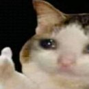 미녀미용실 이미지