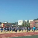 고령초등학교 이미지