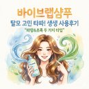 바이브랩샴푸 탈모샴푸 추천 초록 파랑 사용후기