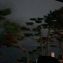 수민이네 이미지