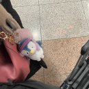 육천세탁 | 2-1. ☀️콘서트 다녀옴
