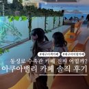 아쿠아 밸리 | 대구 아쿠아밸리 카페 후기 아이랑 가볼만한 동성로 이색카페 솔직 방문기