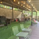 양산신-2025 | 양산애견동반카페추천 N번째 방문후기