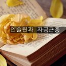 인슐린과 자궁 근종 7월 23일 이미지