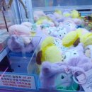 뽀끼오GAME 이미지