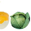 웰빙건강먹거리 이미지