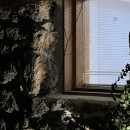 스테이 고집 이미지