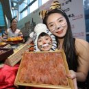 팔도전자 이미지