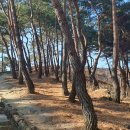 세종대왕자 태실 이미지