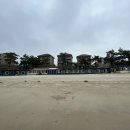 엘 시즌(EL SEASON) | [전남 신안] 증도 엘도라도 리조트 35평 오션클리프 시그니처디너&amp;뷔페 다녀왔어요(수영장,뷔페 이용후기)