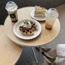 공극 샌드커피 이미지