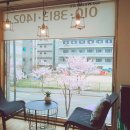 부르주화 펫 이미지