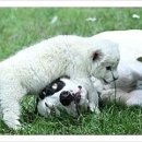 백호농장 이미지