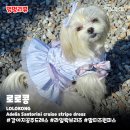 강아지옷브랜드 로로콩 | 공주원피스 아델리아 산토리니 크루즈 스트라이프 드레스 후기